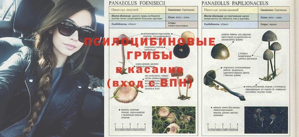 бошки Алексеевка