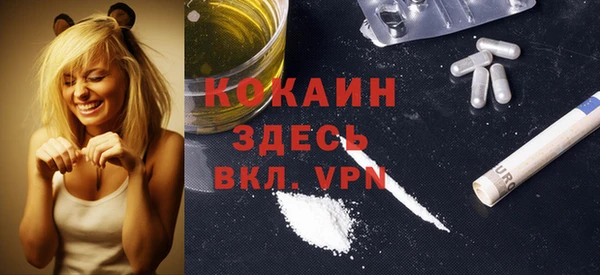 бошки Алексин
