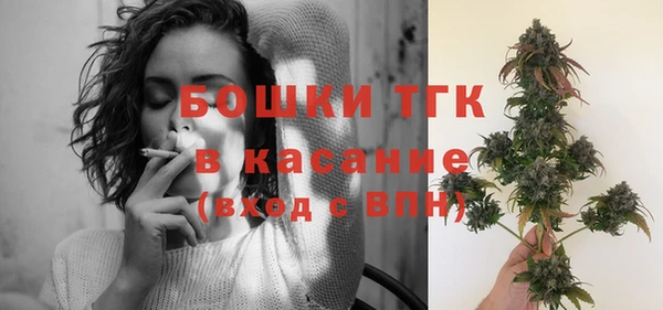 бошки Алексин