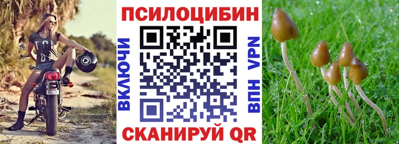 ссылка на мегу ссылки  закладки  Островной  Галлюциногенные грибы Psilocybine cubensis 